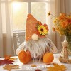 BABYYER Thanksgiving Gnome Plush Decor, Sunflower Faceless Doll, Autumn Harvest Gifts for Home Party Table Shelf and Indoor Holiday Decorations - 4 of 4