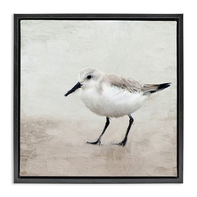 Stupell Industries Lone Sandpiper Bird Portrait, 25" x 25"