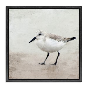 Stupell Industries Lone Sandpiper Bird Portrait, 25" x 25" - 1 of 4