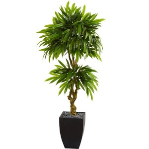 Nearly Natural 5.5-ft Mango Artificial Tree in Black Wash Planter UV Resistant (Indoor/Outdoor) - 1 of 4
