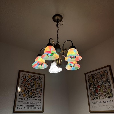 Guest review image 1 of 1, zoom in