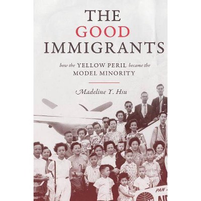 The Good Immigrants - (Politics and Society in Modern America) by  Madeline Y Hsu (Paperback)