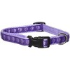 Casual Canine TwoTone Pawprint Dog Collar, 14-20-Inch, Purple - 2 of 2