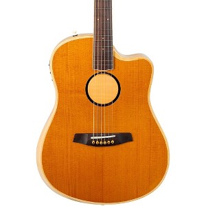 LR Baggs AEG-1 Torrefied Sitka Spruce Dreadnought Acoustic-Electric Guitar Natural - 1 of 4