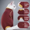 Sticky Hair Cat Clothes, Anti-Shed Cat Onesie Recovery Suit, Prevent Fur Shedding Shirts for Cats Only, Kitten Pajamas Costumes Outfits for Daily Wear - 4 of 4
