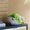 NAYSAYE Planter 5 Bunny Cement Planter Fun Animal Design for Indoor Outdoor Garden, Gray, 10"*8"*6.5" - 4 of 4