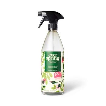 All-Purpose Cleaner - Rosewater & Mint - 28oz - Everspring™
