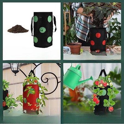 Multicolored Hanging Felt Strawberry Planter Set - 4 Pieces