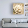 Trademark Fine Art -Albena Hristova 'Magnolia Blossom On Script' Canvas Art - 2 of 4