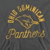Ohio Dominican University Official Panthers Adult Pull-Over Hoodie - 2 of 4