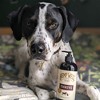 Hemp Well Thrive Oil for Dogs and Cats Everyday Health - Healthy Skin and Coat - 2 of 4