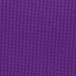 purple orchid