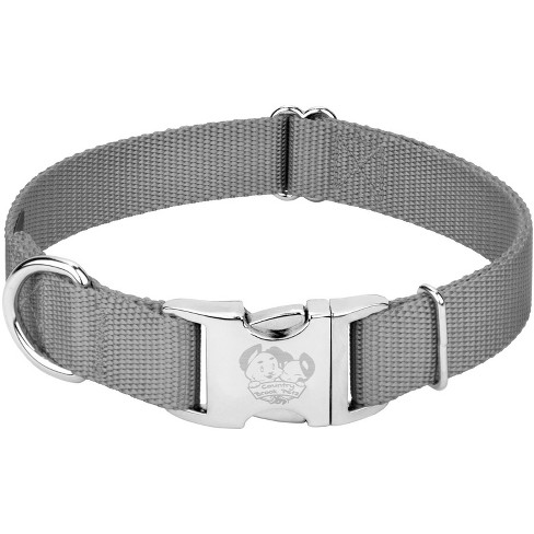 Basic Dog Adjustable Collar With Color Matching Buckle - Boots & Barkley™ :  Target