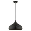 Livex Lighting Metal Shade 1 - Light Pendant in  Shiny Black - 2 of 4