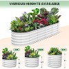 Oval/Round Raised Garden Bed – Large Wave-Shaped Outdoor Planter Box, Galvanized Steel, Open-Ended Base, Spacious Elevated Planter for Gardening - 3 of 4