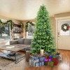 NicBex 6.5ft Prelit Artificial Christmas Tree with 1791 Branch Tips and 450 Dual Color Lights for Indoor - 4 of 4