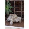 Faux Concrete Resin 9"H Turtle Figurine – Outdoor Garden Decor Accent – Yard Art by Kalalou - 3 of 3