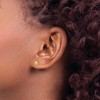 Black Bow Jewelry 6mm x 23mm Hammered Puffed Oval Hoops in 14k White Gold - 3 of 4