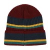 Harry Potter Hogwarts Crest Faux Leather Patch Stripes Beanie - 2 of 4