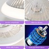 BestParts 15" Modern Cone Ceiling Fan with RGBIC Dimmable Light - 3 Color Modes, Quiet Motor - 4 of 4