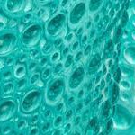Teal Blue
