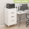 4 Drawer Dresser, Drawer Chest With Metal Legs, 4 Drawers, High Storage Dressing Cabinet Sorting Rack - 4 of 4