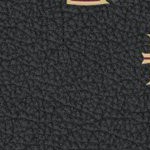 florida state seminoles