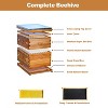 10 Frame Bee Hive Coated with Beeswax Complete Beehive Kit Bee Box with Beehive Frames and Wax Foundations Wax Coated Bee Hives for Beginner - 2 of 4
