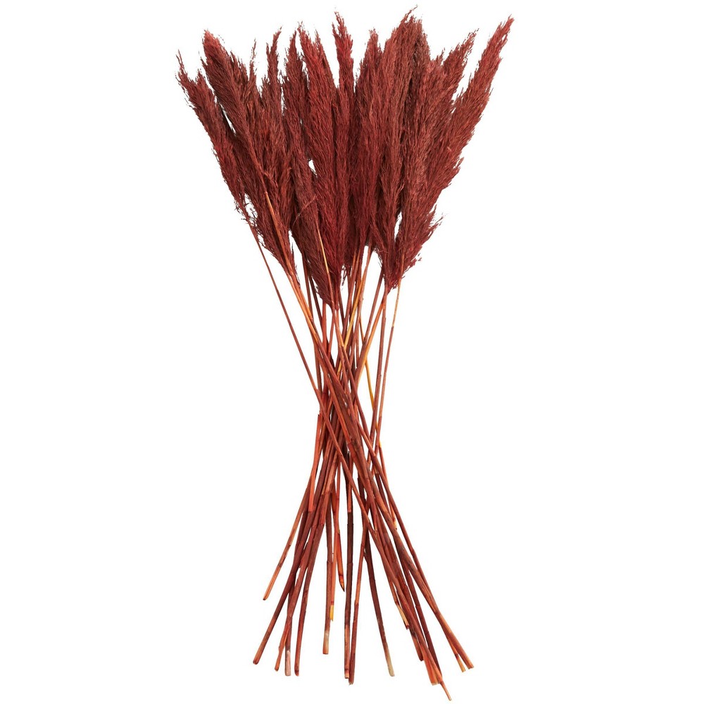 Photos - Coffee Table 35'' x 2'' Dried Plant Pampas Natural Foliage with Long Stems Red - Olivia