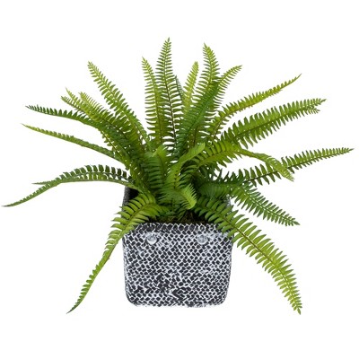 Artificial Boston Fern in Distressed Black Tin Planter