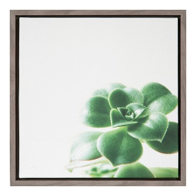 16" x 16" Succulent Simplicity VIII Neutral Framed Canvas Wall Art - Amanti Art