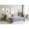Pearson Collection Brushed Nickel Caged Pendant Light - 1 Bulb, Dimmable, Industrial Style - 4 of 4