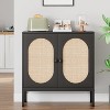 Rattan Storage Sideboard, Kitchen Cabinet with 2 Doors, Modern Style Storage Unit, 80 x 40 x 83 cm, Furniture for Living Room, Kitchen - 3 of 4