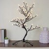 Northlight 25" Pre-Lit Japanese Sakura Blossom Artificial Tree - Warm White LED lights - image 2 of 4