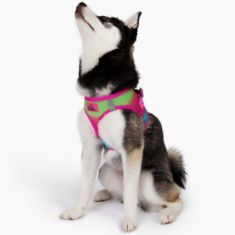 Doggie Design American River Choke Free Dog Harness Ombre Collection-Cotton Candy, 3 of 5