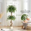Ficus Artificial Tree with Curved Trunk，4 Feet Faux Plant Fake Silk Trees with White Pot, Faux Ficus Tree for Home Decor, Indoor Outdoor House - 2 of 4