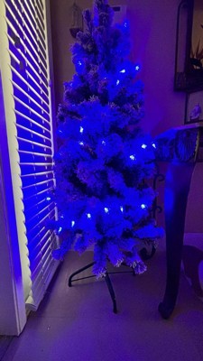 Guest review image 3 of 4, zoom in