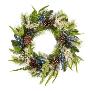 24" Unlit Blueberry Fields Artificial Wreath with White Tipped Pine Cones - National Tree Company - 1 of 4
