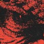 clear push pins bundle