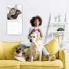 2026 Square Wall Calendar, Cavalier King Charles Spaniels, 16-Month Animals Theme with 180 Reminder Stickers (12x12 In) - 2 of 4