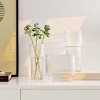 Ceva Fluted Glass Fluted Glass Vase Setof 3 - RDC4036 - Clear - Safavieh - 2 of 4