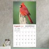 TF Publishing 13.5"x14.5" 2026 Backyard Birds Wall Calendar - 3 of 4