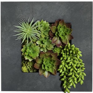 Modern Home Living Wall Galvanized Steel/Zinc Succulent Planter - 1 of 4