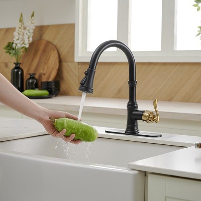 Matte Black and Gold Single-Handle Pull-Down Kitchen Faucet