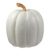 Northlight 8" White Pumpkin Autumn Harvest Tabletop Decoration - 4 of 4