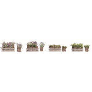 Transpac Country Greens in Crate Set of 4 Spring Home Decorations - 1 of 1