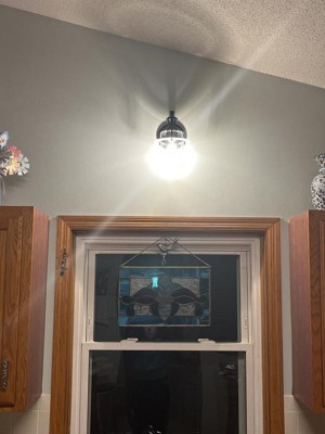 Guest review image 4 of 5, zoom in