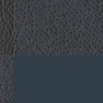 vegas golden knights