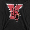 Men's York College Distressed Primary Logo Pull-Over Hoodie - 2 of 4