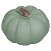 Elanze Designs Sage Green 6 inch Resin Harvest Decorative Pumpkin - 3 of 3